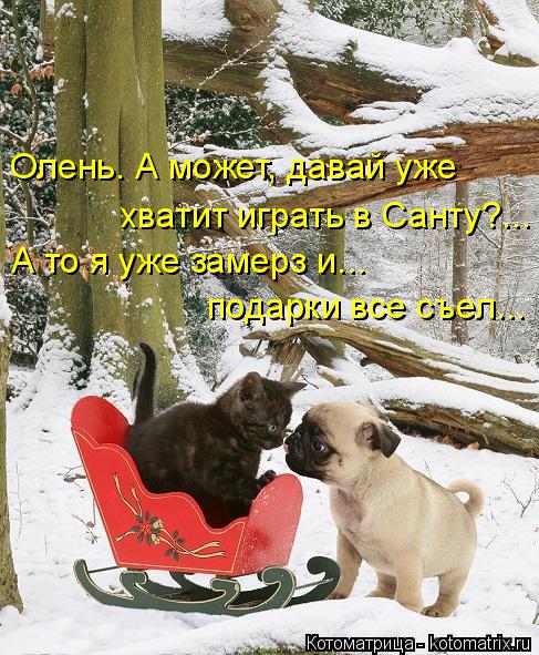Олень. А может, давай уже хватит играть в Санту?... А то я уже замерз и... подарки все съел...... Котоматрица: Олень. А может, давай уже хватит играть в Санту?... А то я уже замерз и... подарки все съел...