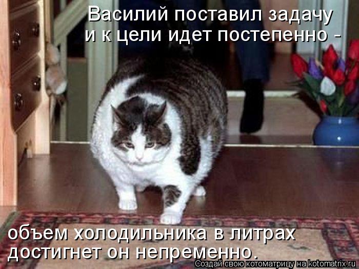 Котоматрица: Василий поставил задачу объем холодильника в литрах и к цели идет постепенно - достигнет он непременно.