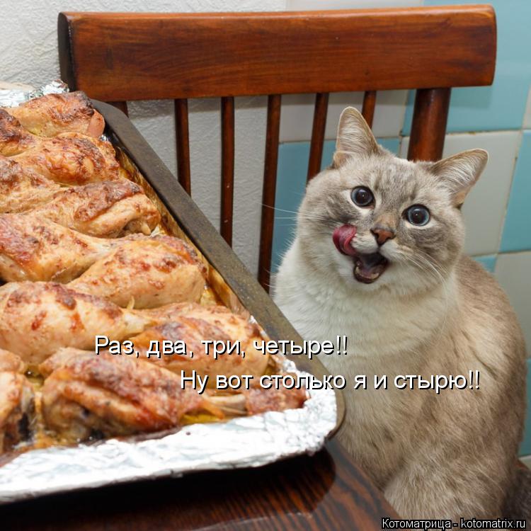 Раз, два, три, четыре!! Ну вот столько я и стырю!!... Котоматрица: Раз, два, три, четыре!! Ну вот столько я и стырю!!
