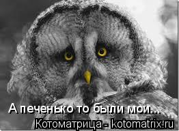 А печенько то были мои...... Котоматрица: А печенько то были мои...