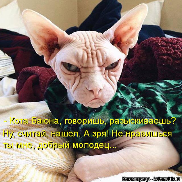 Котоматрица: - Кота Баюна, говоришь, разыскиваешь? Ну, считай, нашел. А зря! Не нравишься ты мне, добрый молодец...