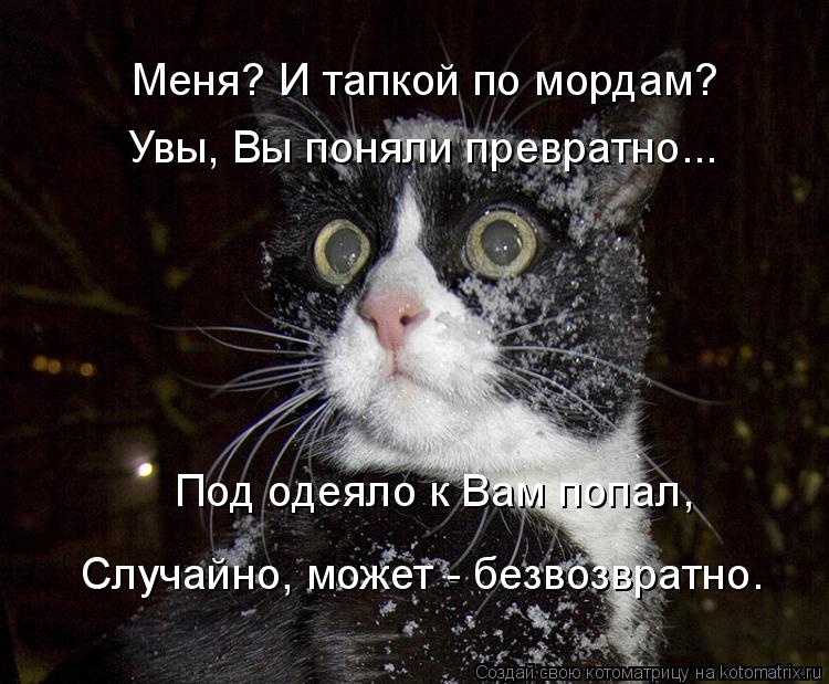 Меня? И тапкой по мордам? Увы, Вы поняли превратно... Под одеяло к Вам попал, Случайно, может - безво... Котоматрица: Меня? И тапкой по мордам? Увы, Вы поняли превратно... Под одеяло к Вам попал, Случайно, может - безвозвратно.