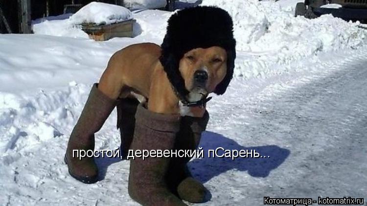 простой, деревенский пСарень...... Котоматрица: простой, деревенский пСарень...