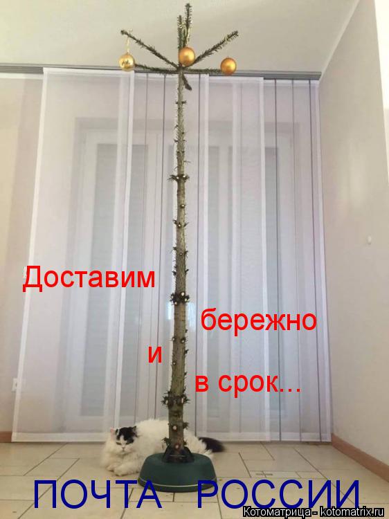 ПОЧТА РОССИИ Доставим бережно и в срок...... Котоматрица: ПОЧТА РОССИИ Доставим бережно и в срок...
