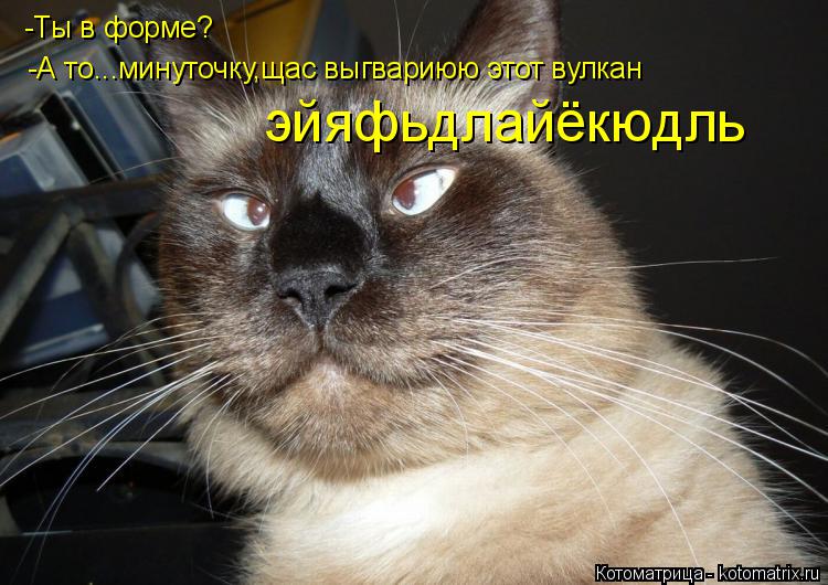 Котоматрица: -Ты в форме? -А то...минуточку,щас выгвариюю этот вулкан эйяфьдлайёкюдль