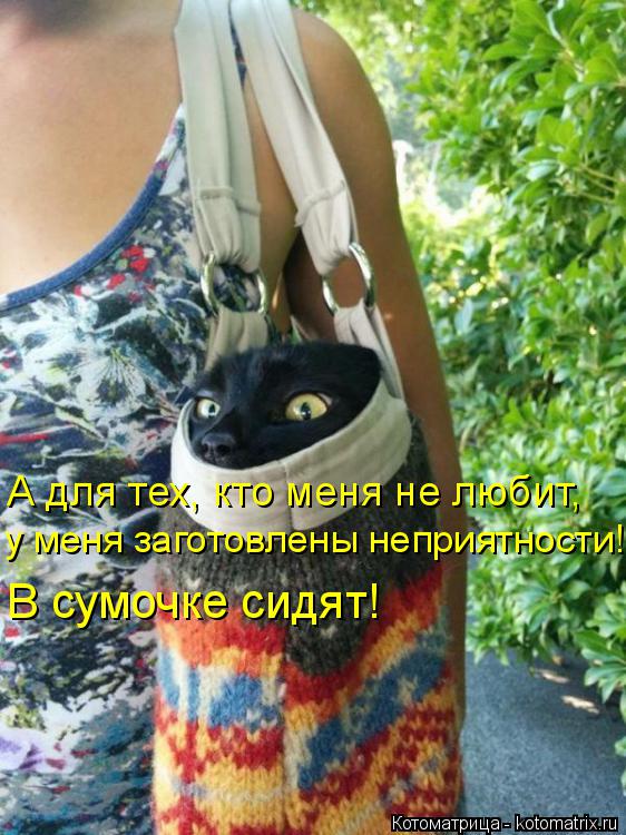 А для тех, кто меня не любит, у меня заготовлены неприятности! В сумочке сидят!... Котоматрица: А для тех, кто меня не любит, у меня заготовлены неприятности! В сумочке сидят!