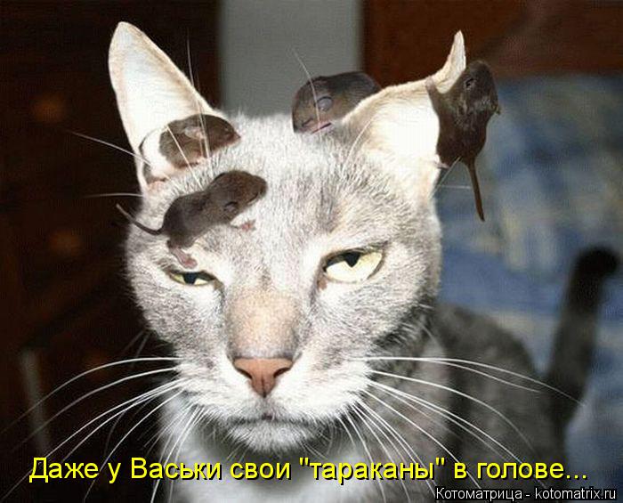 Даже у Васьки свои "тараканы" в голове...... Котоматрица: Даже у Васьки свои "тараканы" в голове...