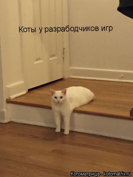 Коты у разрабодчиков игр... Котоматрица: Коты у разрабодчиков игр