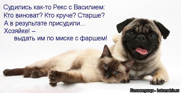Судились как-то Рекс с Василием: Кто виноват? Кто круче? Старше? А в результате присудили… Хозяйке! –... Котоматрица: Судились как-то Рекс с Василием: Кто виноват? Кто круче? Старше? А в результате присудили… Хозяйке! – выдать им по миске с фаршем!