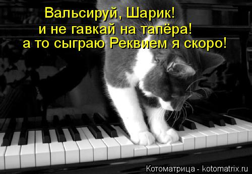 Вальсируй, Шарик! и не гавкай на тапёра! а то сыграю Реквием я скоро!... Котоматрица: Вальсируй, Шарик! и не гавкай на тапёра! а то сыграю Реквием я скоро!