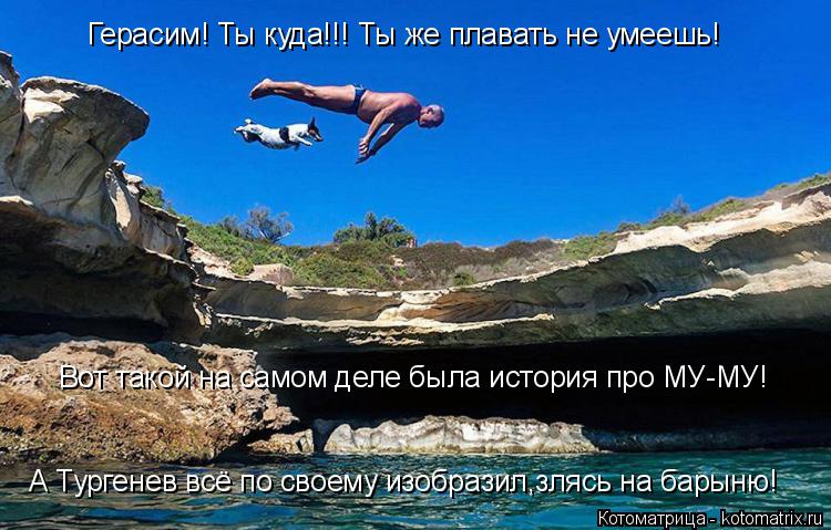 Герасим! Ты куда!!! Ты же плавать не умеешь! Вот такой на самом деле была история про МУ-МУ! А Турген... Котоматрица: Герасим! Ты куда!!! Ты же плавать не умеешь! Вот такой на самом деле была история про МУ-МУ! А Тургенев всё по своему изобразил,злясь на барыню!