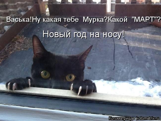 Васька!Ну какая тебе Мурка?Какой "МАРТ"? Новый год на носу!... Котоматрица: Васька!Ну какая тебе Мурка?Какой "МАРТ"? Новый год на носу!