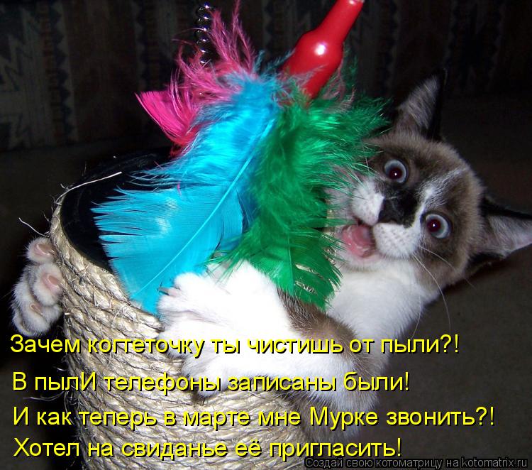 Зачем когтеточку ты чистишь от пыли?! В пылИ телефоны записаны были! И как теперь в марте мне Мурке з... Котоматрица: Зачем когтеточку ты чистишь от пыли?! В пылИ телефоны записаны были! И как теперь в марте мне Мурке звонить?! Хотел на свиданье её пригласить!