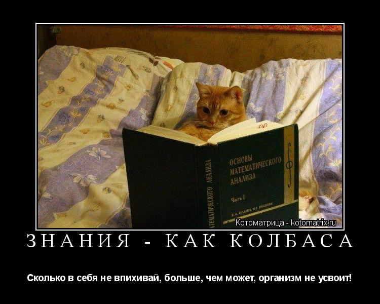 ЗНАНИЯ - КАК КОЛБАСА Сколько в себя не впихивай, больше, чем может, организм не усвоит!... Котоматрица: ЗНАНИЯ - КАК КОЛБАСА Сколько в себя не впихивай, больше, чем может, организм не усвоит!