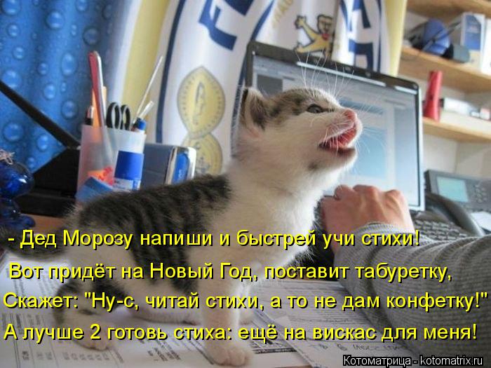 - Дед Морозу напиши и быстрей учи стихи! Вот придёт на Новый Год, поставит табуретку, Скажет: "Ну-с, ... Котоматрица: - Дед Морозу напиши и быстрей учи стихи! Вот придёт на Новый Год, поставит табуретку, Скажет: "Ну-с, читай стихи, а то не дам конфетку!" А лучше 2