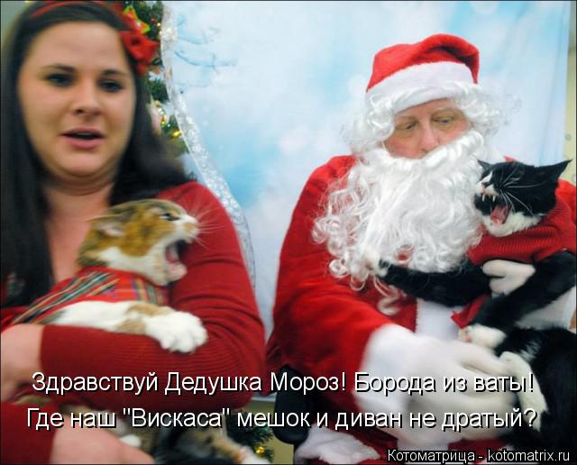 Здравствуй Дедушка Мороз! Борода из ваты! Где наш "Вискаса" мешок и диван не дратый?... Котоматрица: Здравствуй Дедушка Мороз! Борода из ваты! Где наш "Вискаса" мешок и диван не дратый?