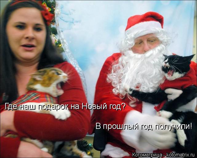 Где наш подарок на Новый год? В прошлый год получили!... Котоматрица: Где наш подарок на Новый год? В прошлый год получили!