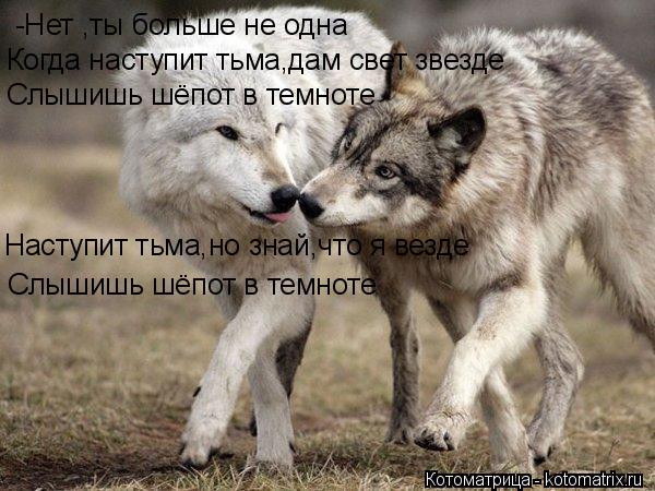 -Нет ,ты больше не одна Когда наступит тьма,дам свет звезде Слышишь шёпот в темноте Наступит тьма,но ... Котоматрица: -Нет ,ты больше не одна Когда наступит тьма,дам свет звезде Слышишь шёпот в темноте Наступит тьма,но знай,что я везде Слышишь шёпот в темноте