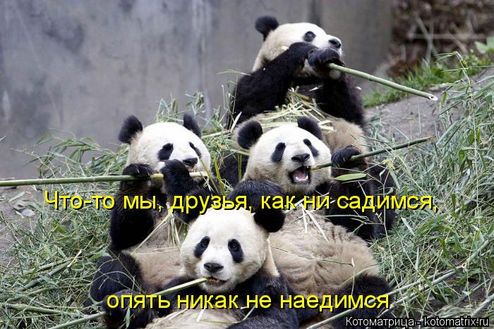 опять никак не наедимся Что-то мы, друзья, как ни садимся,... Котоматрица: опять никак не наедимся Что-то мы, друзья, как ни садимся,