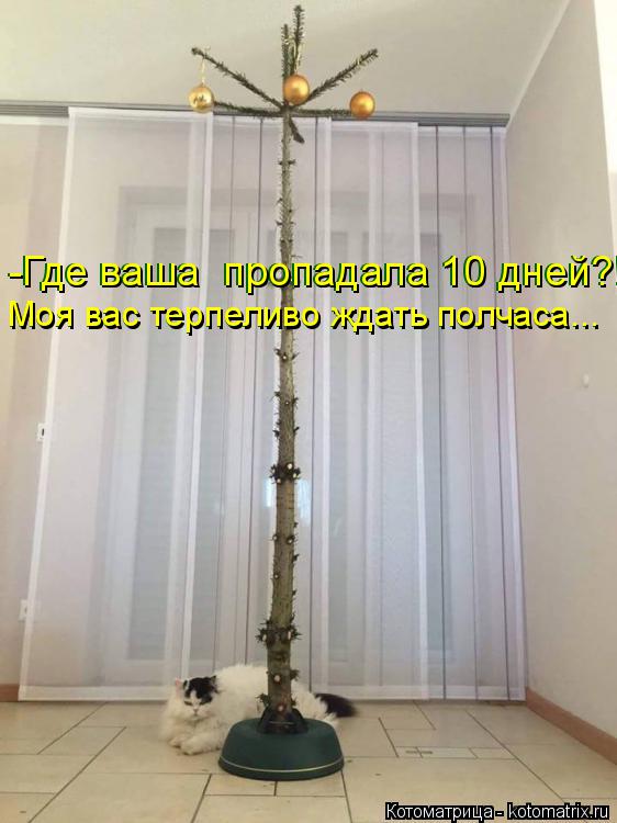 -Где ваша пропадала 10 дней?! -Где ваша пропадала 10 дней?! Моя вас терпеливо ждать полчаса... Моя ... Котоматрица: -Где ваша пропадала 10 дней?! -Где ваша пропадала 10 дней?! Моя вас терпеливо ждать полчаса... Моя вас терпеливо ждать полчаса...