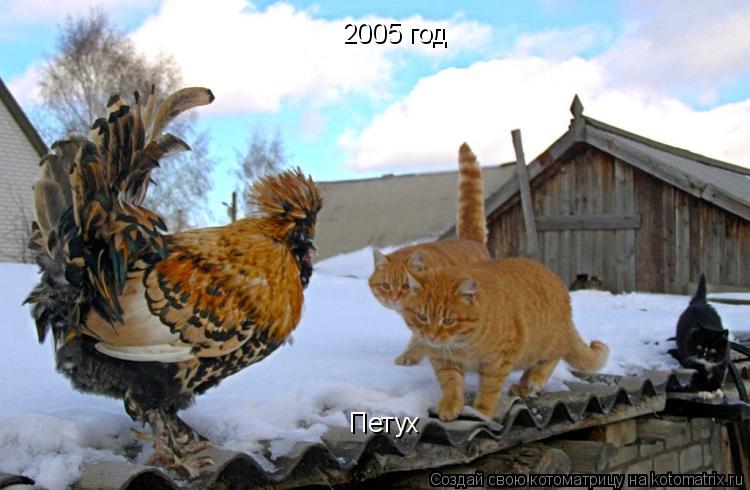 2005 год Петух... Котоматрица: 2005 год Петух