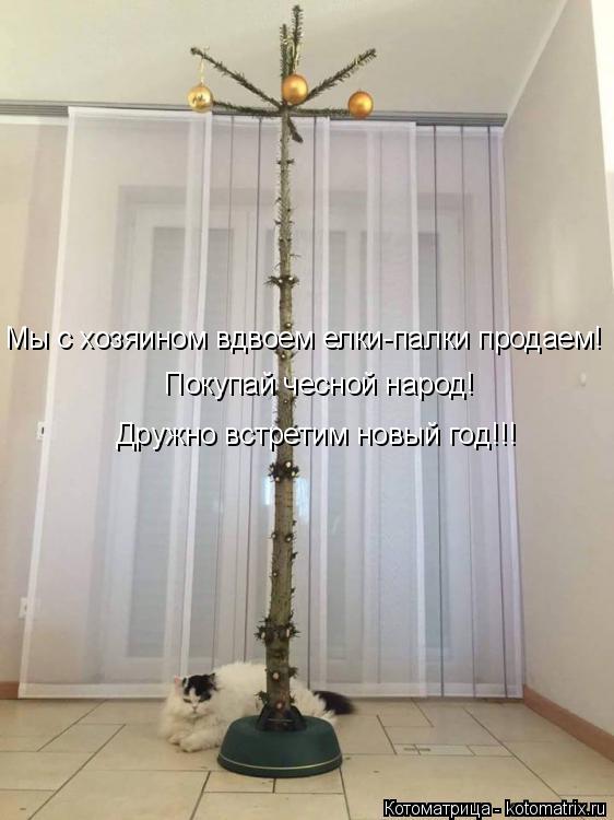 Покупай чесной народ! Мы с хозяином вдвоем елки-палки продаем! Дружно встретим новый год!!!... Котоматрица: Покупай чесной народ! Мы с хозяином вдвоем елки-палки продаем! Дружно встретим новый год!!!