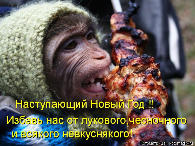 Наступающий Новый Год !! Избавь нас от лукового,чесночного и всякого невкуснякого!... Котоматрица: Наступающий Новый Год !! Избавь нас от лукового,чесночного и всякого невкуснякого!