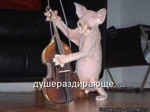 душераздирающе....... Котоматрица: душераздирающе....