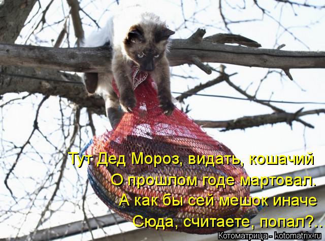 Тут Дед Мороз, видать, кошачий О прошлом годе мартовал. А как бы сей мешок иначе Сюда, считаете, попа... Котоматрица: Тут Дед Мороз, видать, кошачий О прошлом годе мартовал. А как бы сей мешок иначе Сюда, считаете, попал?...