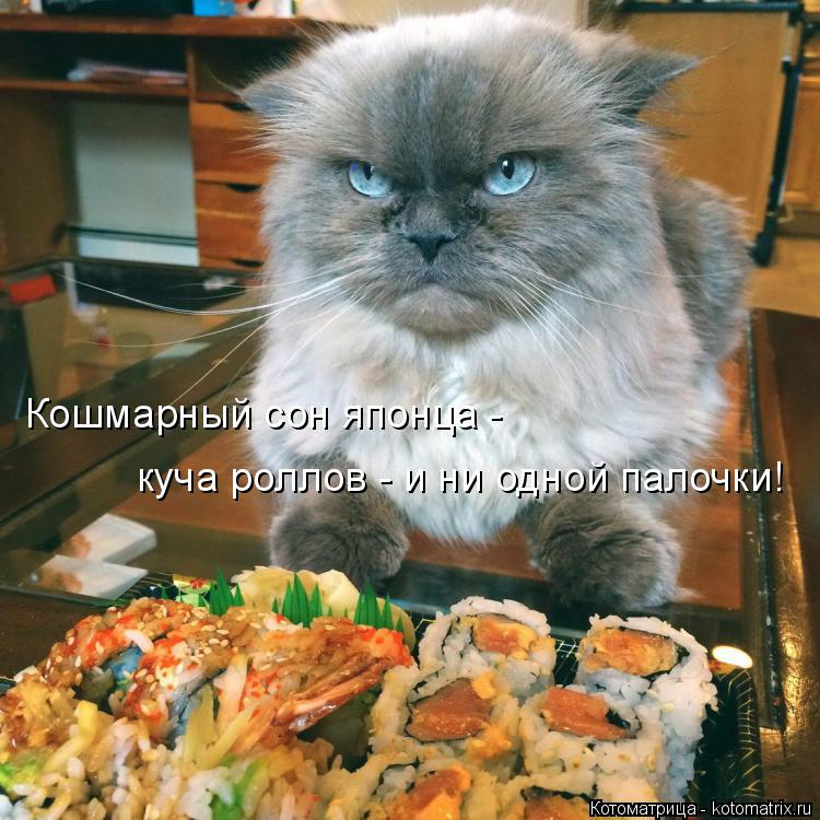 Кошмарный сон японца - куча роллов - и ни одной палочки!... Котоматрица: Кошмарный сон японца - куча роллов - и ни одной палочки!