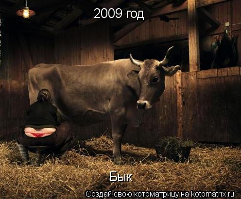 2009 год Бык... Котоматрица: 2009 год Бык