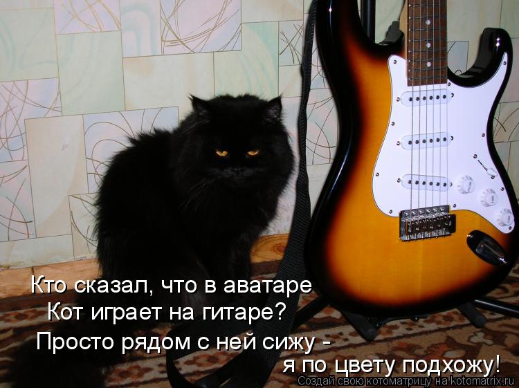 Кто сказал, что в аватаре Кот играет на гитаре? Просто рядом с ней сижу - я по цвету подхожу!... Котоматрица: Кто сказал, что в аватаре Кот играет на гитаре? Просто рядом с ней сижу - я по цвету подхожу!