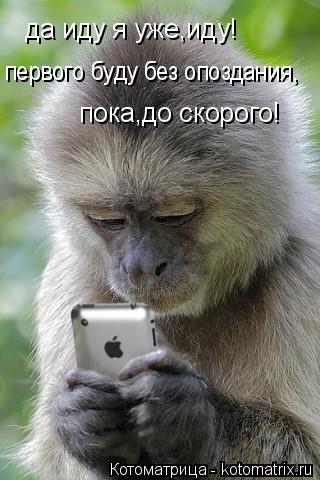 да иду я уже,иду! первого буду без опоздания, пока,до скорого!... Котоматрица: да иду я уже,иду! первого буду без опоздания, пока,до скорого!