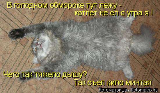 В голодном обмороке тут лежу - котлет не ел с утра я ! Чего так тяжело дышу? Так съел кило минтая.... Котоматрица: В голодном обмороке тут лежу - котлет не ел с утра я ! Чего так тяжело дышу? Так съел кило минтая.