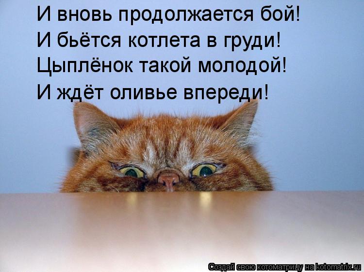 И вновь продолжается бой! И бьётся котлета в груди! Цыплёнок такой молодой! И ждёт оливье впереди!... Котоматрица: И вновь продолжается бой! И бьётся котлета в груди! Цыплёнок такой молодой! И ждёт оливье впереди!
