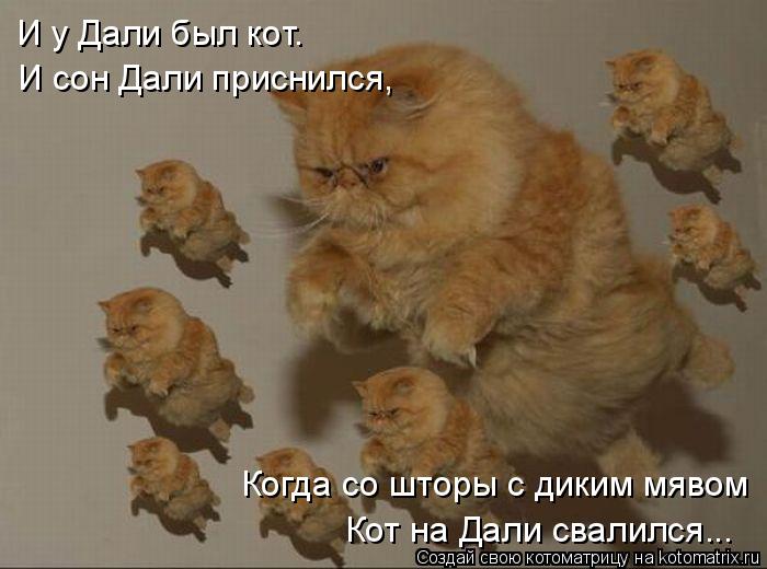 И у Дали был кот. Когда со шторы с диким мявом Кот на Дали свалился... И сон Дали приснился,... Котоматрица: И у Дали был кот. Когда со шторы с диким мявом Кот на Дали свалился... И сон Дали приснился,
