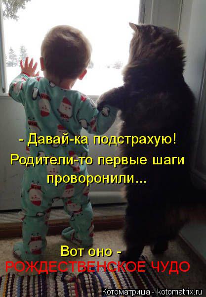 - Давай-ка подстрахую! Родители-то первые шаги проворонили... РОЖДЕСТВЕНСКОЕ ЧУДО Вот оно -... Котоматрица: - Давай-ка подстрахую! Родители-то первые шаги проворонили... РОЖДЕСТВЕНСКОЕ ЧУДО Вот оно -