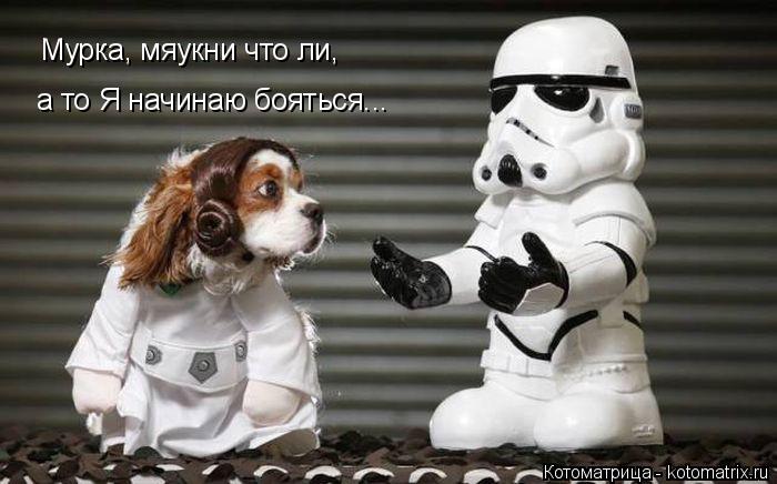 Мурка, мяукни что ли, а то Я начинаю бояться...... Котоматрица: Мурка, мяукни что ли, а то Я начинаю бояться...