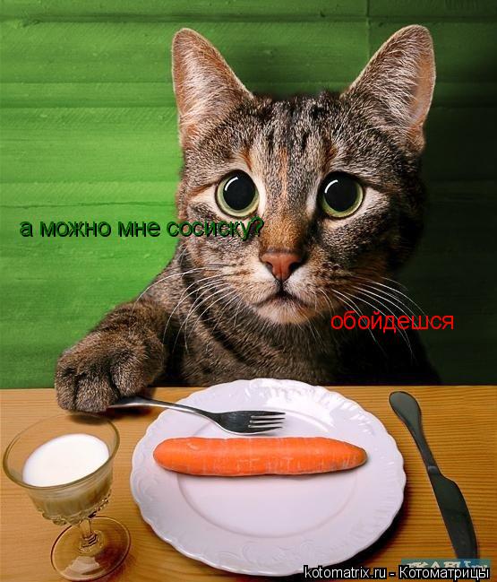 а можно мне сосиску? обойдешся... Котоматрица: а можно мне сосиску? обойдешся