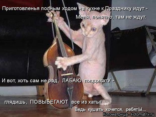 глядишь, ПОВЫБЕГАЮТ все из хаты! И вот, хоть сам не рад, ЛАБАЮ пиццикатУ - Приготовленья полным х... Котоматрица: глядишь, ПОВЫБЕГАЮТ все из хаты! И вот, хоть сам не рад, ЛАБАЮ пиццикатУ - Приготовленья полным ходом на кухне к Празднику идут - Меня, понят