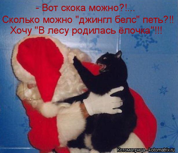 Котоматрица: - Вот скока можно?!... Хочу "В лесу родилась ёлочка"!!! Сколько можно "джингл белс" петь?!!