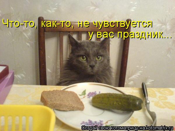 у вас праздник... Что-то, как-то, не чувствуется... Котоматрица: у вас праздник... Что-то, как-то, не чувствуется