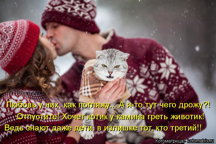 Любовь у них, как погляжу... А я-то тут чего дрожу?! Отпустите! Хочет котик у камина греть животик! В... Котоматрица: Любовь у них, как погляжу... А я-то тут чего дрожу?! Отпустите! Хочет котик у камина греть животик! Ведь знают даже дети, в излишке тот, кто трет