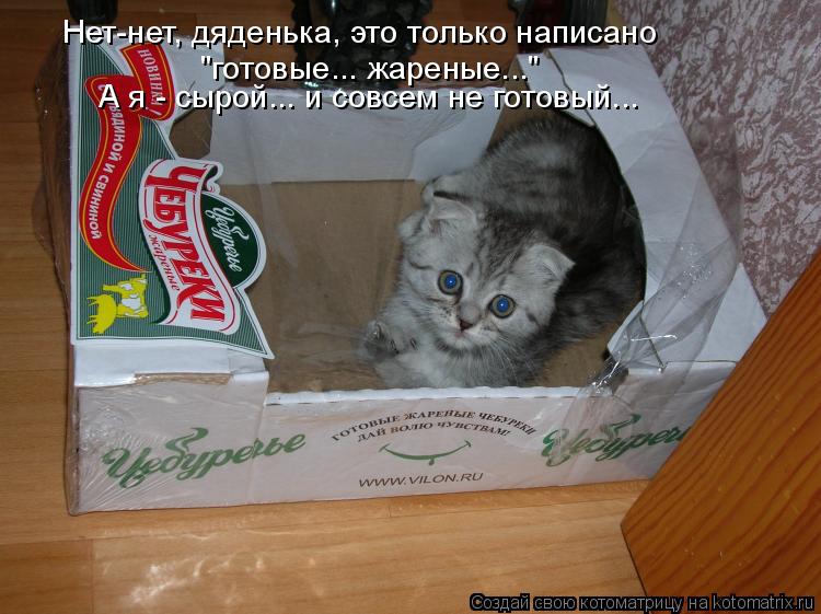 Нет-нет, дяденька, это только написано "готовые... жареные..." А я - сырой... и совсем не готовый...... Котоматрица: Нет-нет, дяденька, это только написано "готовые... жареные..." А я - сырой... и совсем не готовый...