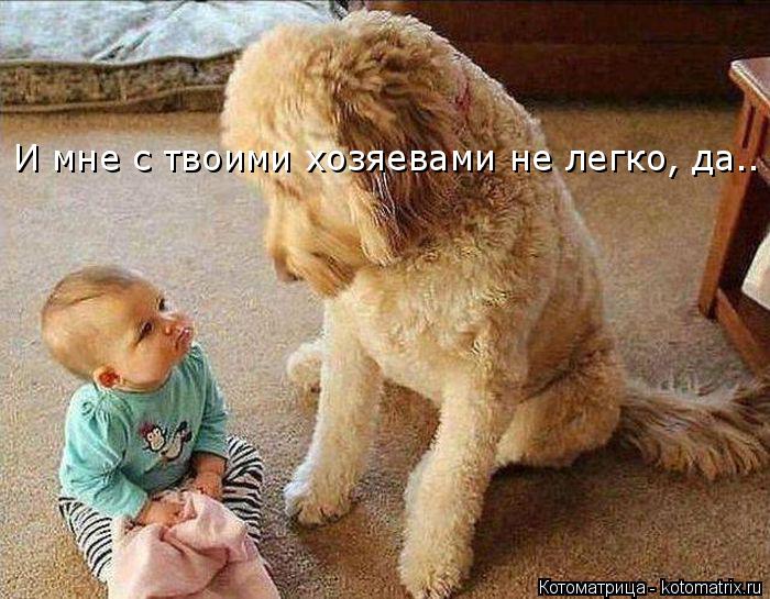 И мне с твоими хозяевами не легко, да..... Котоматрица: И мне с твоими хозяевами не легко, да..