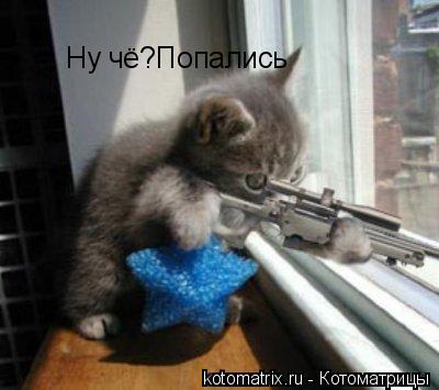 Ну чё?Попались... Котоматрица: Ну чё?Попались