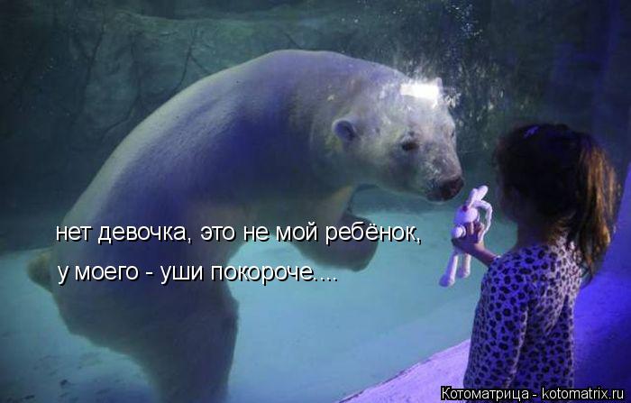 нет девочка, это не мой ребёнок, у моего - уши покороче....... Котоматрица: нет девочка, это не мой ребёнок, у моего - уши покороче....
