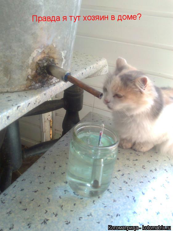 Котоматрица: Правда я тут хозяин в доме?