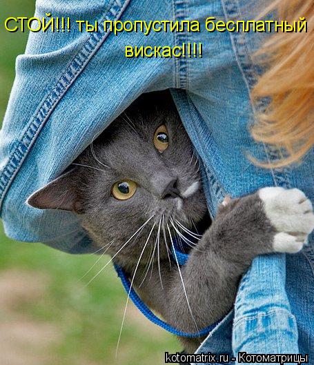 Котоматрица: СТОЙ!!! ты пропустила бесплатный Вискас!!! вискас!!!!