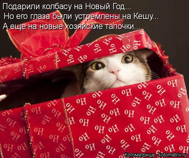 Подарили колбасу на Новый Год... Но его глаза были устремлены на Кешу... А еще на новые хозяйские тап... Котоматрица: Подарили колбасу на Новый Год... Но его глаза были устремлены на Кешу... А еще на новые хозяйские тапочки...